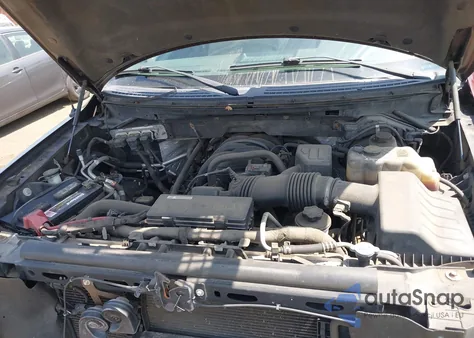 2010 Ford F-150 Stx/Xl/Xlt z USA, uszkodzony, nr VIN 1FTEX1E84AFC33271